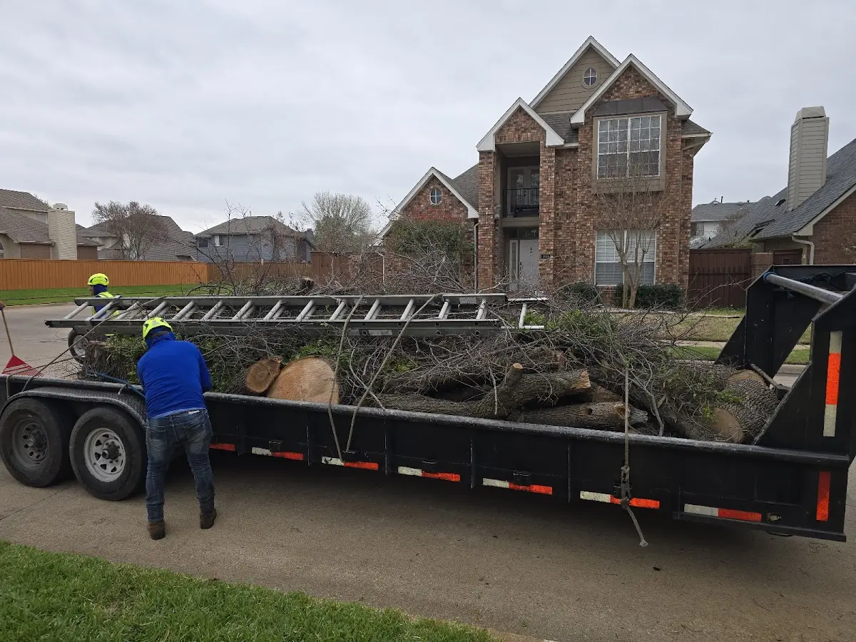 Expert Lot Clearing with proper safety equipment in Denton